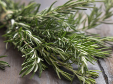 Nem chá, nem tempero: ferver alecrim é um truque de vó simples que transforma a sua casa e você nem imagina