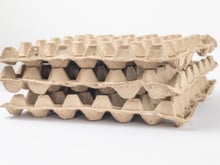 Muitos reaproveitam a embalagem de ovo, mas ela pode esconder um perigo que você nem imagina