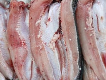 Um peixe com um nome incomum que vai te fazer dizer "Hã?!" Uma iguaria da América do Sul tão deliciosa quanto o salmão