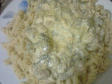 Parafuso com frango e creme de brócolis