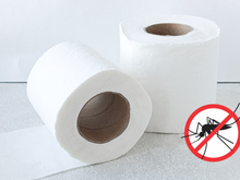 Um truque único com papel higiênico que ajuda a se livrar dos mosquitos para sempre