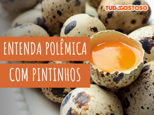 Ovos galados podem ser comercializados? Veja diferenças entre tipos de ovos