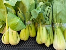 Para maiores de 60 anos: o vegetal recomendado, rico em cálcio e vitamina K