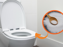 É obrigatório colocar sal grosso nos vasos sanitários todas as noites na minha casa e aqui está por quê