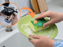 Sou uma doutora em bactérias e garanto sobre a esponja de cozinha: "O que a gente precisa saber é se elas passam e ficam vivas na louça enxaguada e seca"