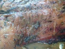 Paca assada