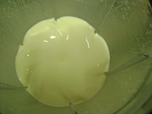 Maionese caseira de leite da Micheli !