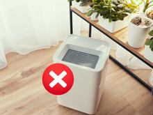 Não precisei mais usar o purificador de ar depois que descobri que uma única planta faz isso!