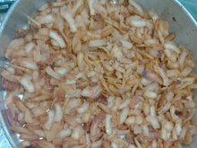 Cocada simples de coco