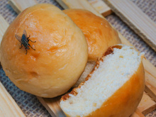 Uma mosca pousou na minha comida e agora? Preciso jogar fora? Veja o que diz a ciência (e como mantê-las longe de casa)!