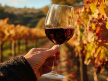 Mito ou verdade: uma taça de vinho por dia faz mesmo bem para o coração?