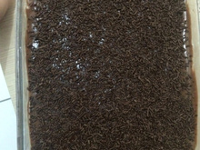 Torta de chocolate com coco