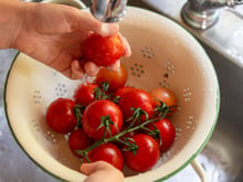 5 segredos simples para manter os tomates frescos como no dia da colheita
