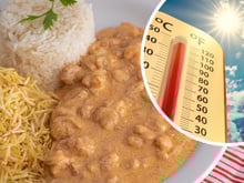 É uma boa ideia comer strogonoff neste calor? Descubra quais cuidados você precisa ter com a receita