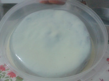 Bolo fofíssimo de limão