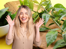 Ora-pro-nóbis: o que acontece com o corpo se você comer 10 folhas por dia?