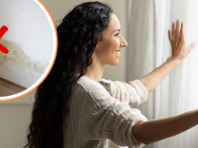 Abrir as janelas todos os dias é a solução para evitar fungos nas paredes de casa e esses especialistas indicam o tempo adequado