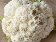 Couve-flor com pontinhos pretos: é seguro comer o vegetal mesmo assim?