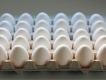 Ovos na geladeira ou na bancada da cozinha? TudoGostoso explica qual é a melhor maneira de armazenar o alimento