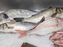 Evite estes 7 peixes: parecem saudáveis, mas escondem algo muito prejudicial