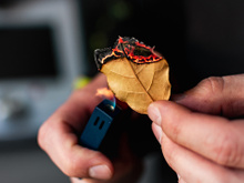 Queimar folhas de louro: um hábito antigo que transforma o ambiente da sua casa