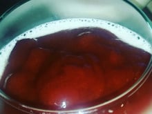 Mousse de queijo com goiabada