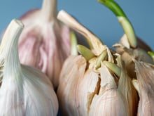 Segundo especialistas, o alho com broto é seguro para consumo, mas tem um detalhe importante que muda tudo