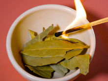 Para que serve queimar folha de louro? O truque antigo que minha avó me ensinou vai transformar sua casa