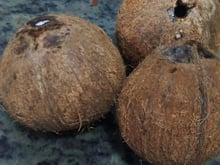 Óleo de coco
