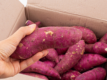 O que acontece com o corpo se você comer batata-doce todos os dias? Essa nutricionista explica os benefícios