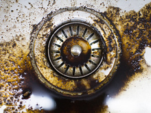 Poucos sabem, mas descartar borra de café na pia é um dos maiores erros cometidos na cozinha