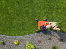 O segredo mais bem guardado dos jardineiros para um gramado verde, brilhante e saudável 365 dias por ano