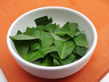 Se a sua mãe não te ensinou, eu te ensino: essas 3 plantas que você tem no quintal são cheias de nutrientes e você pode utilizar na cozinha