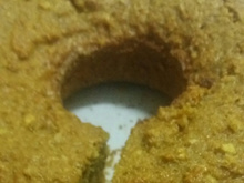 Bolo de cenoura integral
