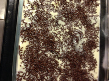 Torta de bolacha choconata