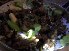 Jacaré à passarinho