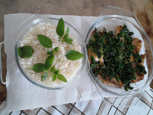 Filé de tilápia com ervas frescas