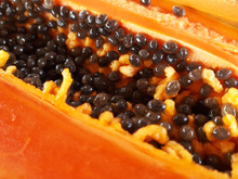 Se você tem semente de mamão em casa, você tem um tesouro: os benefícios de consumir o ingrediente e como usar no dia a dia