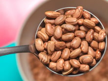 'Bean protein': feijão carioca na mira do mercado fit como poderoso concentrado de proteínas