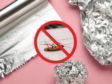 Adeus baratas, ratos, formigas: esse truque só com papel-alumínio vai expulsar as pragas da sua casa