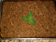 Quibe assado - libanês