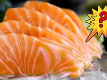 Você está comendo salmão de verdade ou está sendo enganado? Vem entender a polêmica!