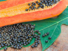 Se você tem sementes de mamão, você tem um tesouro: 5 maneiras de usá-las em casa para não jogá-las fora