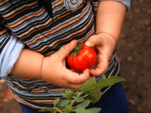 Dica para as crianças comerem legumes