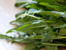 Essa hortaliça é amarga, mas os benefícios são doces para a saúde: limpa o organismo, ajuda na digestão e rica em fibras