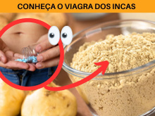 Viagra dos Incas? Descubra os benefícios da maca peruana e se tubérculo realmente é afrodisíaco