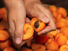 Não jogue fora os caroços de damasco: seus 3 usos inesperados