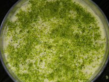 Pavê de limão com biscoito maizena