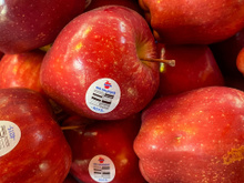 O que significa o adesivo nas frutas e legumes? Pode parecer inútil, mas ele pode te ajudar a fazer escolhas melhores no mercado