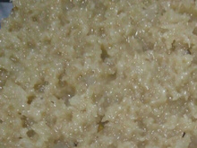 Cocada de Coco Verde